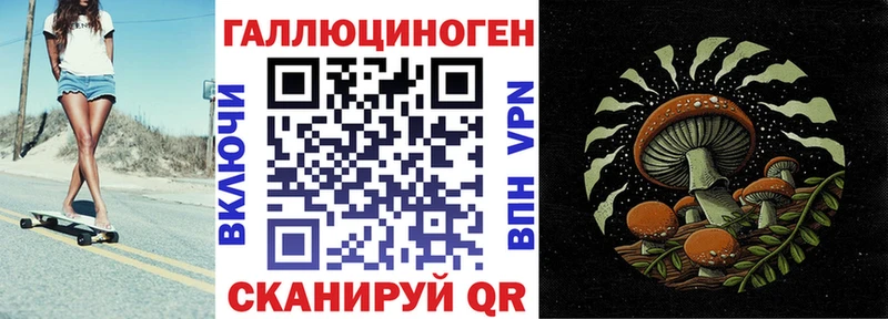 Псилоцибиновые грибы Cubensis Сорочинск